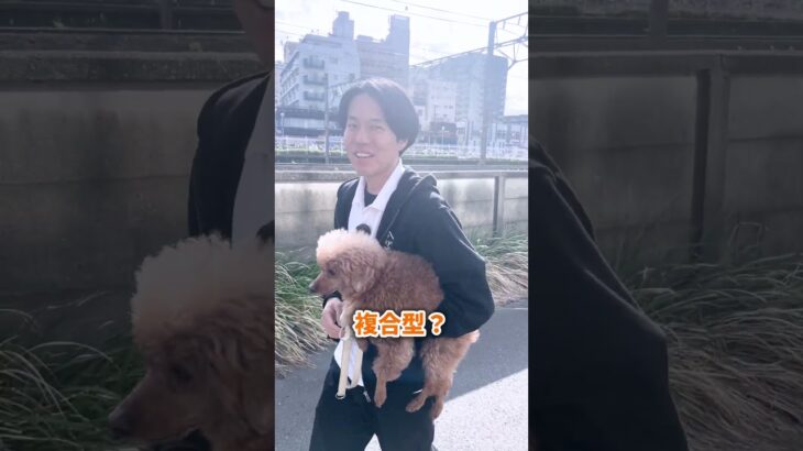 愛犬との生活スタイルの理想は？