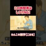 知ってるだけで変わる【しつけのゴールデンタイム！】#犬のしつけ  #朝ルーティン  #ポメラニアン #しつけのコツ #犬好きさんと繋がりたい #犬の雑学 #犬の気持ち #ペットとの暮らし
