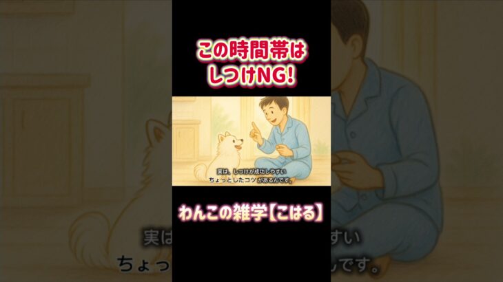 知ってるだけで変わる【しつけのゴールデンタイム！】#犬のしつけ  #朝ルーティン  #ポメラニアン #しつけのコツ #犬好きさんと繋がりたい #犬の雑学 #犬の気持ち #ペットとの暮らし