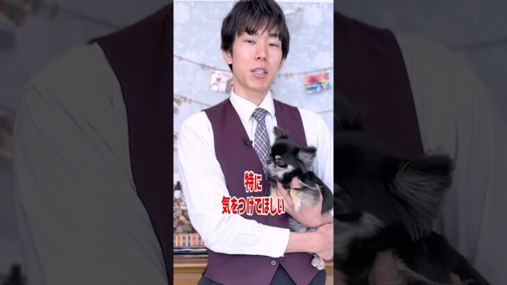 【質問】犬を飼っている人が春に気を付ける事はありますか？