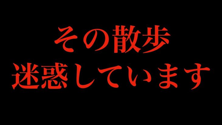 【犬 お散歩】憤り！その散歩に迷惑しています！犬のしつけエマチャンネル【犬のしつけ＠横浜】