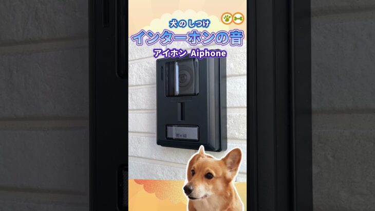 アイホンのインターホン音【犬しつけ用】チャイム音