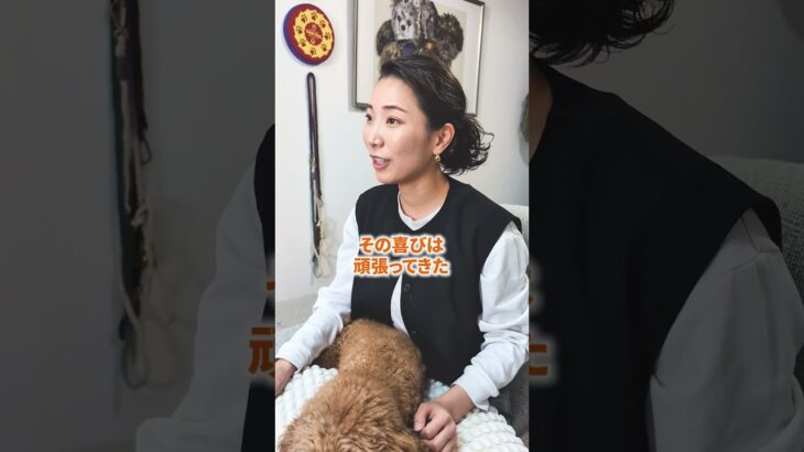他の犬に吠えるから喧嘩になりそうで不安