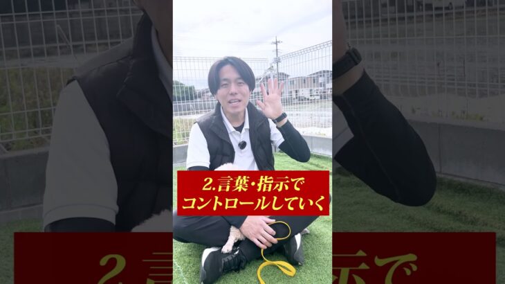 家の外に吠えるワンちゃんを止める方法