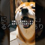 実は“おやつ”が逆効果！？柴犬のしつけでやってはいけない落とし穴 #柴犬 #柴プー #しつけのコツ