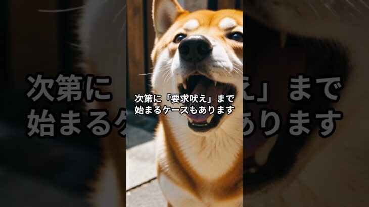 実は“おやつ”が逆効果！？柴犬のしつけでやってはいけない落とし穴 #柴犬 #柴プー #しつけのコツ