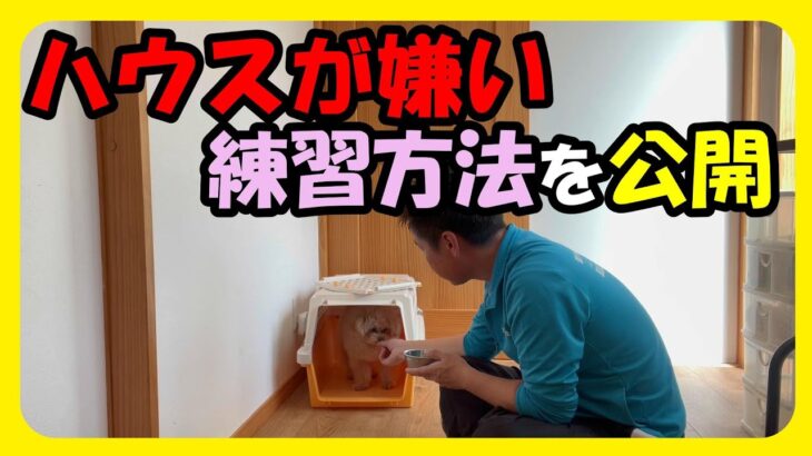 【実践　ハウストレーニング】ハウスが苦手な場所になってしまっている子はこの練習をして♪