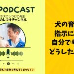 お家で自分でできる犬のしつけをマスターしよう♪