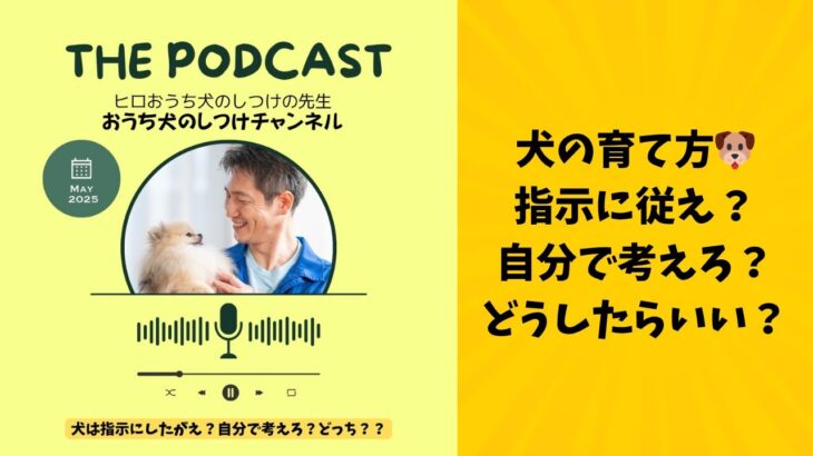お家で自分でできる犬のしつけをマスターしよう♪