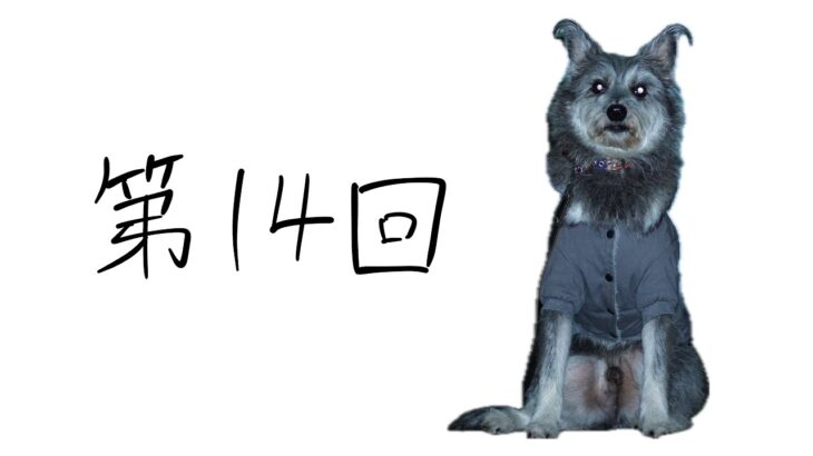 【犬のしつけ】どうしたいか、どうしてほしいかが重要
