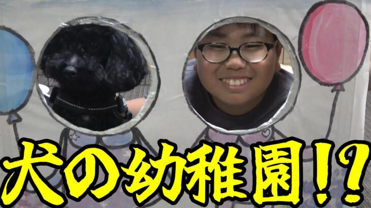 【萩市】犬の幼稚園ってどんな所？代表・尾崎さんに聞いてみた！