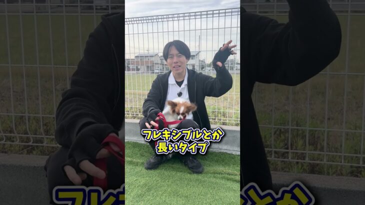 【犬しつけ】おすすめ最強リードはこちら！