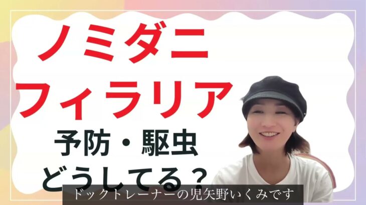 【犬ケア】ノミダニ・フィラリア予防どうしてる？　#ノミダニ　＃犬のようちえん　＃犬のほいくえん　＃犬お泊りトレーニング　#子犬しつけ  #しつけ教室  ＃ネクスガード　#フィラリア　#フロントライン