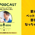 お家で自分でできる犬のしつけをマスターしよう♪