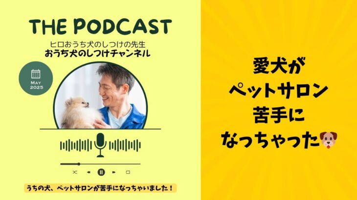 お家で自分でできる犬のしつけをマスターしよう♪