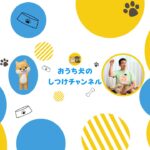褒めるしつけでお悩みの飼い主さん