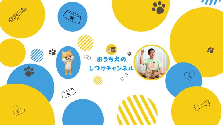 褒めるしつけでお悩みの飼い主さん