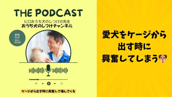 お家で自分でできる犬のしつけをマスターしよう♪