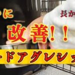 噛む犬のしつけに悩む人必見！問題犬から噛まない犬への成功体験③