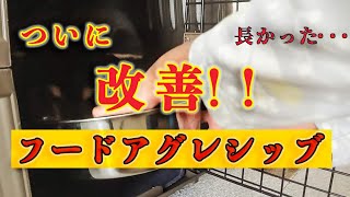 噛む犬のしつけに悩む人必見！問題犬から噛まない犬への成功体験③