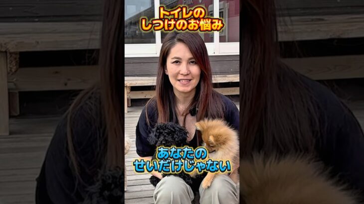 トイレのお悩み、どうしたらいい？①🐶#ドッグトレーナー #イヌバーシティ #子犬育て #いぬのいるくらし #しつけ #子犬のしつけ #ドッグビヘイビアリスト #犬のいる暮らし