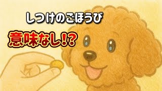 そのごほうび、間に合ってる？〜犬が行動を覚える0.5秒のルール〜