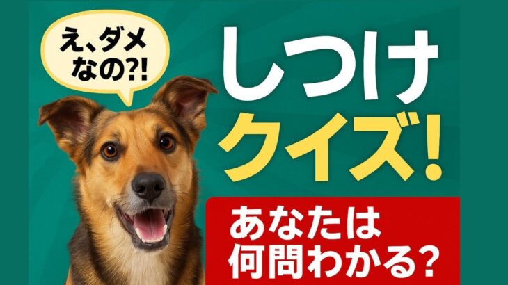 【犬クイズ】正しいのはどっち？しつけの落とし穴10問