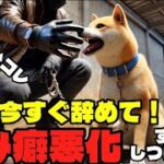 噛み癖が100%悪化するしつけ方法があります。それは、、、#犬のいる暮らし#しつけ#本気噛み#トレーニング