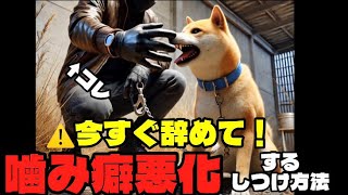 噛み癖が100%悪化するしつけ方法があります。それは、、、#犬のいる暮らし#しつけ#本気噛み#トレーニング