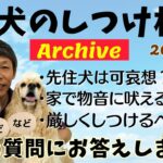 犬のしつけ相談ライブ☆ゲリラライブ【アーカイブ 2025/06/06】