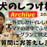 犬のしつけ相談ライブ☆ゲリラライブ【アーカイブ 2025/06/22】