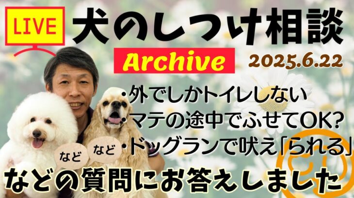 犬のしつけ相談ライブ☆ゲリラライブ【アーカイブ 2025/06/22】
