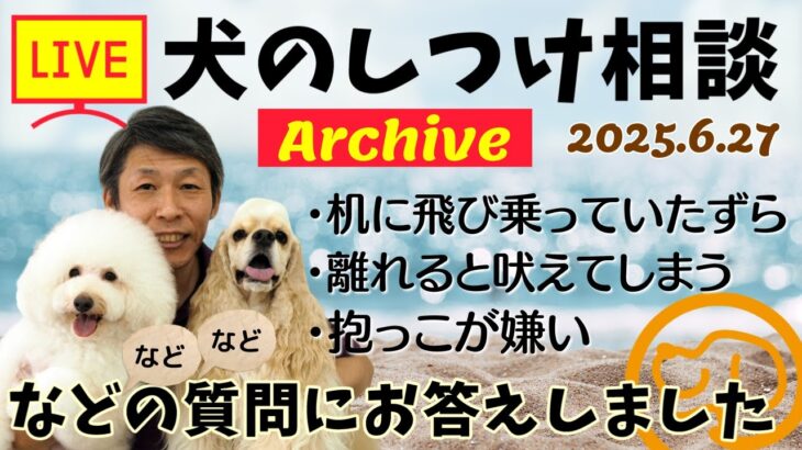 犬のしつけ相談ライブ☆ゲリラライブ【アーカイブ 2025/06/27】
