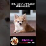 【目の動きで分かる犬の気持ち3選】飼い犬必見！犬の気持ちを理解しよう #犬 ＃犬の気持ち #プチ知識  #ゆっくり解説  ＃しつけ #心理学 #犬のいる生活  #愛犬