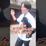 【犬しつけ】子犬を迎えた時やった方がいいこと3選