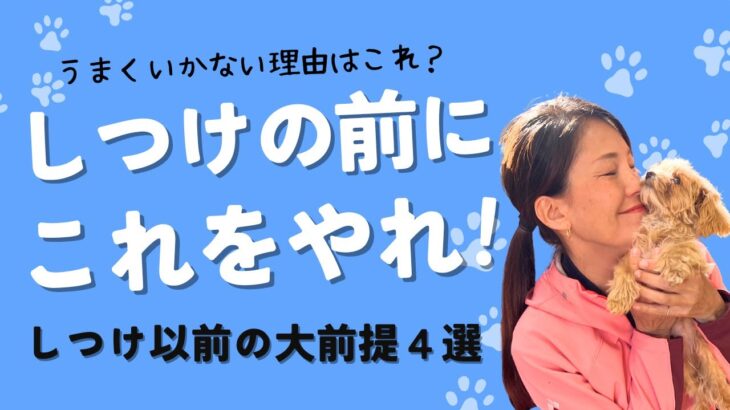 うまくいかない原因はこれ！しつけの前の大前提4つ、知っていますか？