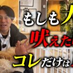 コレだけはやめて！愛犬が吠えた時に絶対にやらないでほしいこと5選【プロドッグトレーナー 解説】