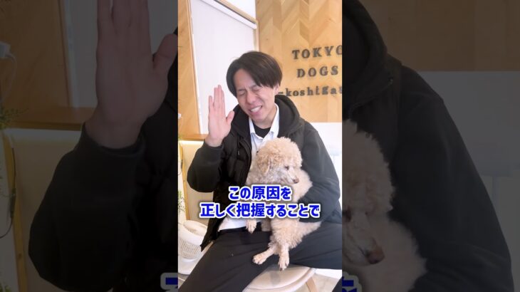 【ドッグトレーナー】犬が吠えた時にやってはいけないこと5選　#ドッグトレーニング