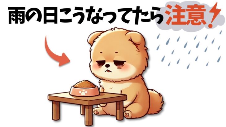 雨の日に犬が出す『退屈アピール』7選【わかる人だけわかる】
