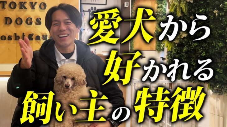 【必見】愛犬ともっと仲良くなるコツ7選をプロドッグトレーナー解説します