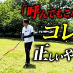 9割が知らない！犬の正しい呼び戻しの教え方をプロドッグトレーナーが解説【超実践】
