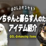 【QOL】便利グッズをプロのドッグトレーナーが評価します！