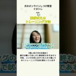 要求吠えのトレーニング方法（長内T） #イヌトレの動画一覧はこちら