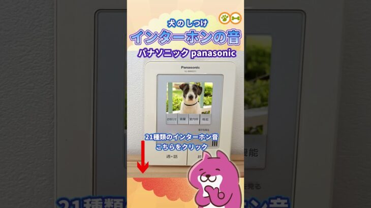 インターホン音【犬しつけ用】パナソニックのチャイム音 panasonic #shorts
