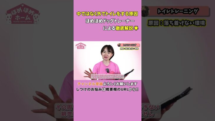 トイレの失敗が直らない！トイレサークルで犬が排泄できない訳 #shrots