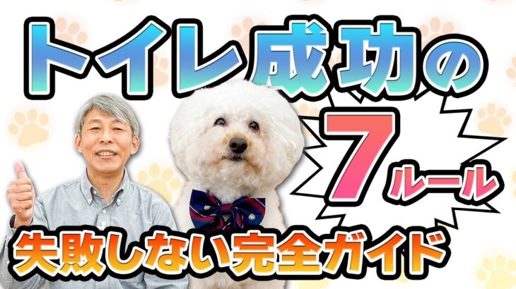 【犬のしつけ】トイレトレーニング完全ガイド