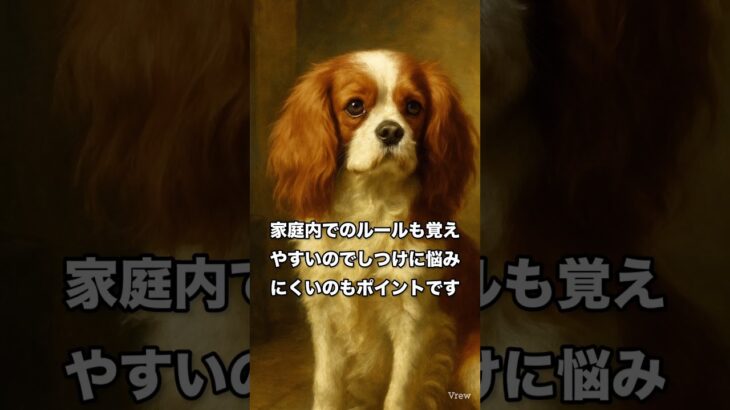 【犬雑学】しつけやすい犬を紹介　#犬雑学 #犬の豆知識 #犬のいる生活