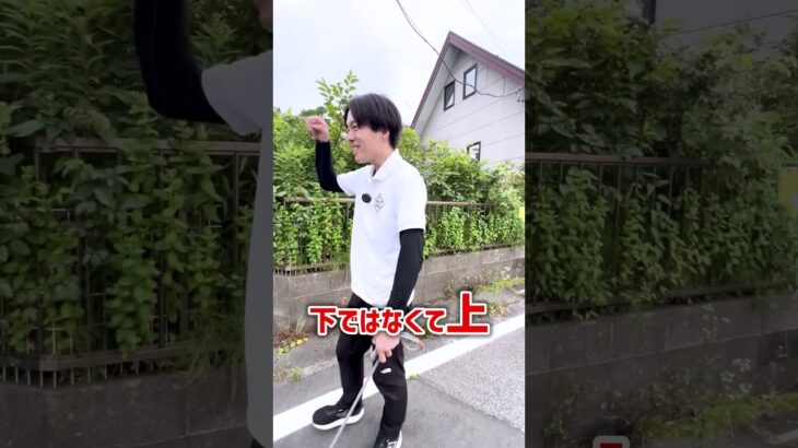 【犬しつけ】散歩の拾い食いはこう対処！