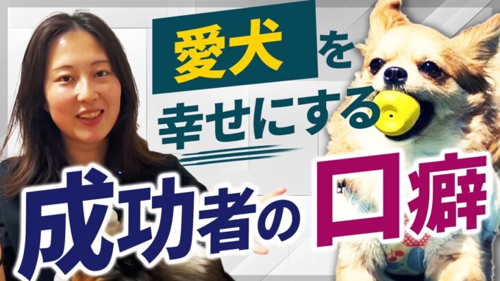 【新情報】しつけがうまく行く人はココが違う！犬を責めない前向きな飼い主の口癖を解説します