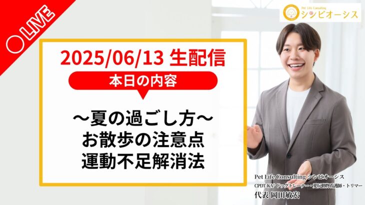 【生配信】犬の夏のお困りごと！散歩の注意点＆運動不足解消法